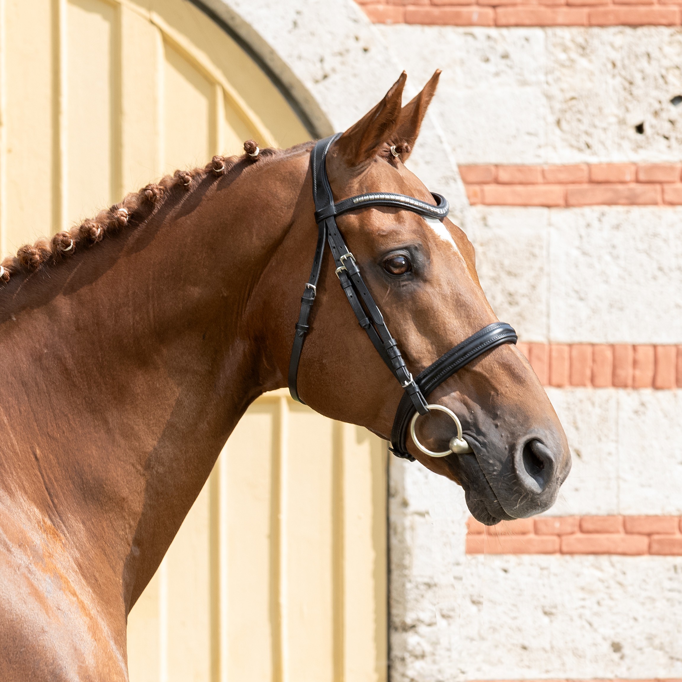 Propriano de l'Ébat